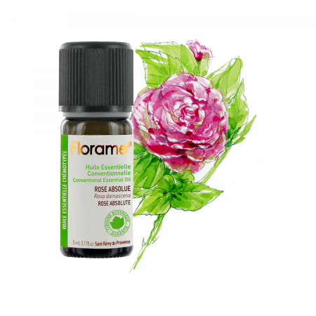 Rose Absolute Conv
