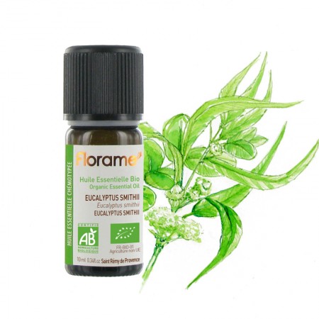 Smithii Eucalyptus Organic