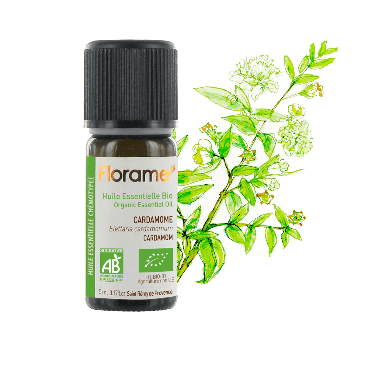 Huile Essentielle de Cardamome Biologique