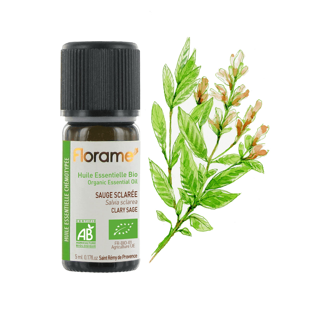 Huile Essentielle de Sauge Sclarée Biologique