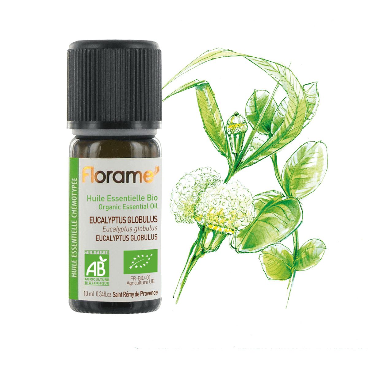 Huile Essentielle d'Eucalyptus Globulus Biologique