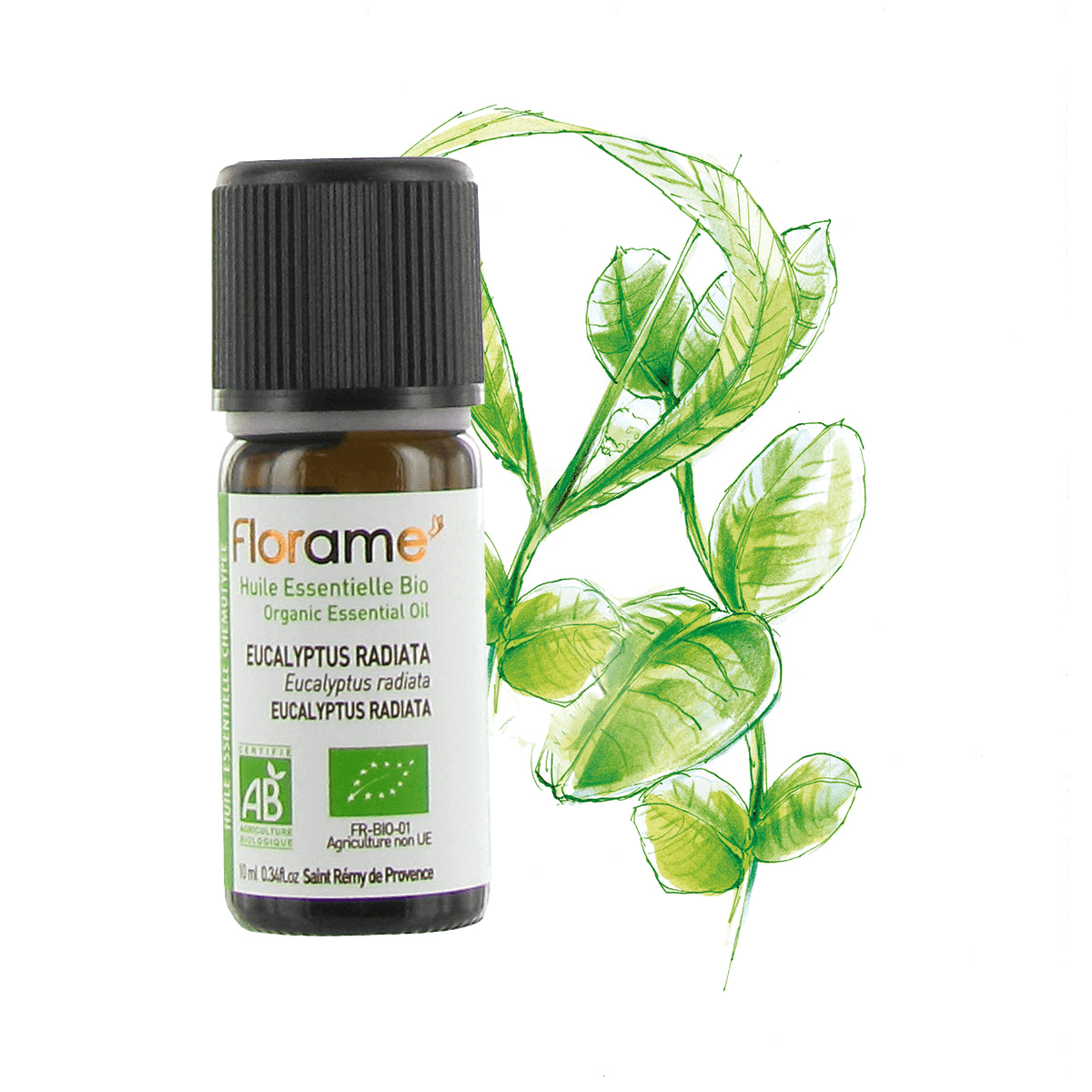Huile Essentielle d'Eucalyptus Radiata Biologique