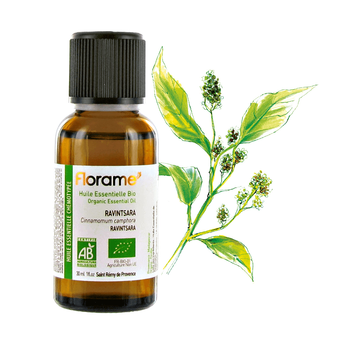 Huile Essentielle Ravintsara Biologique