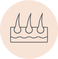 Cuir chevelu