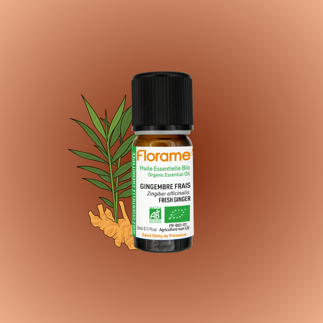Huile-Essentielle-de-Gingembre-Frais-Biologique
