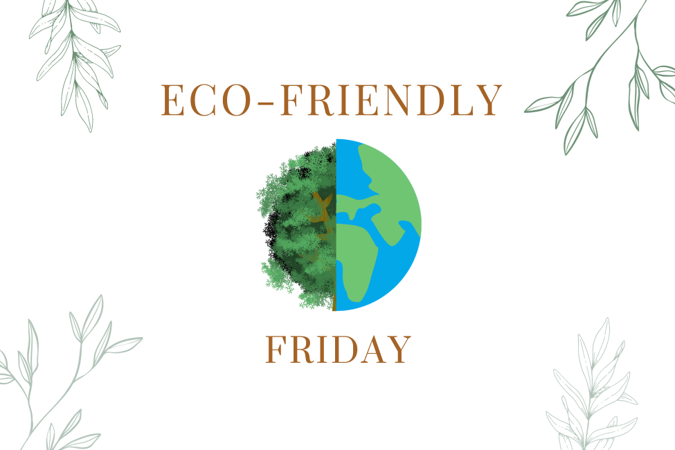 Eco Friendly Friday
